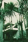 VILLA A FREGENE